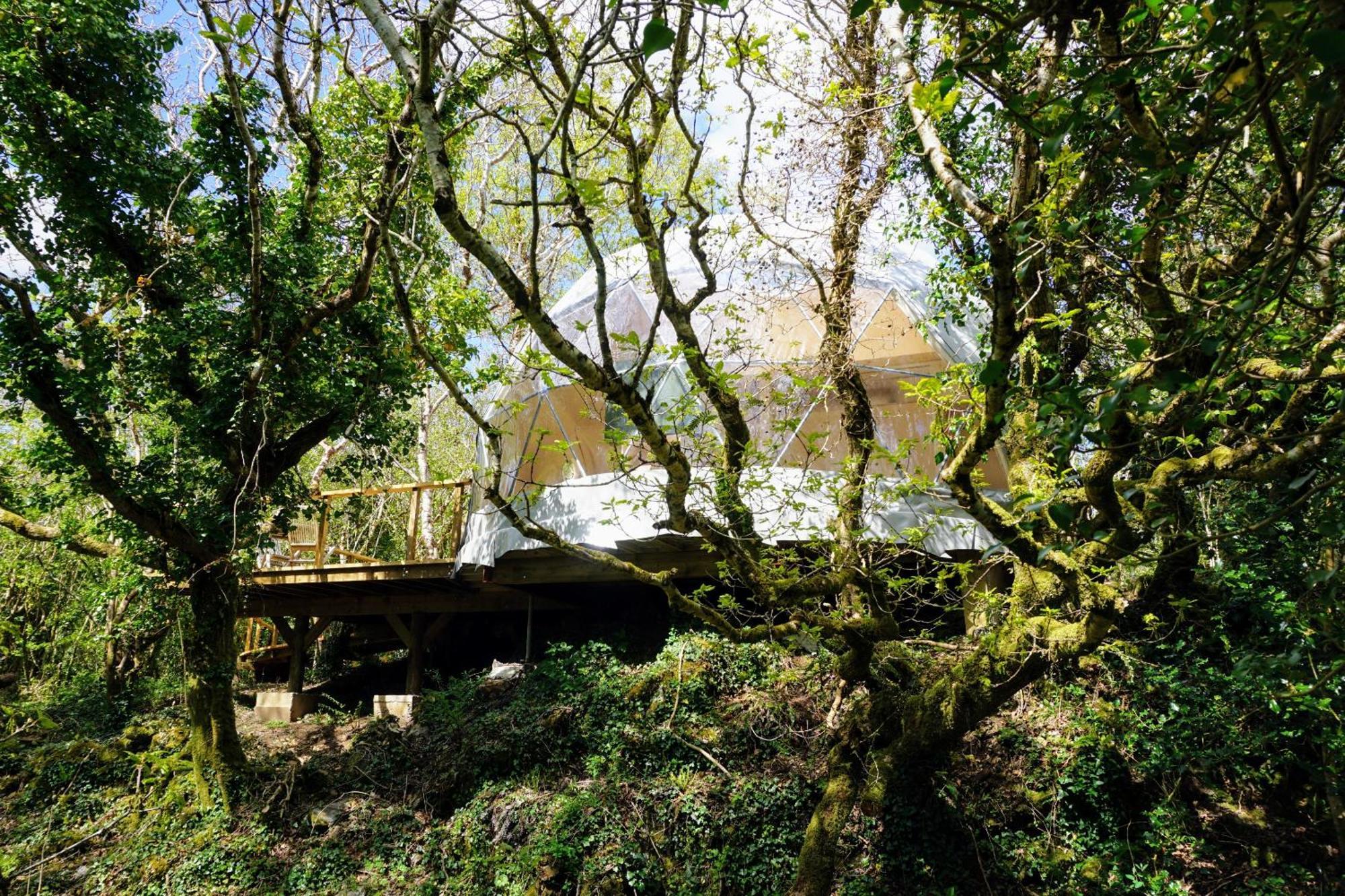 Villa Fernwood Clifden Camera foto